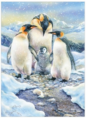 Cobble Hill: Penguin Family (350XL) Familypuzzel OP = OP