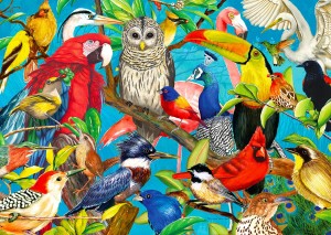 Enjoy: Feathered Frenzy (1000) vogelpuzzel