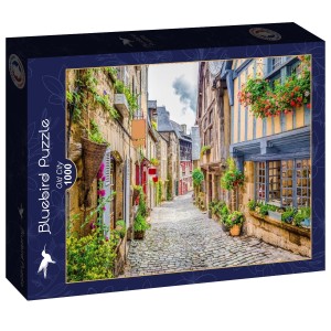 Bluebird: Old City (1000) legpuzzel