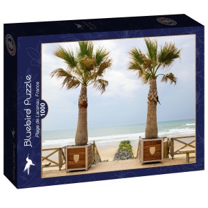 Bluebird: Plage de Lacanau (1000) legpuzzel