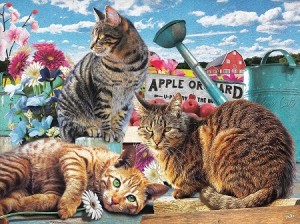 SunsOut: Apple Orchard (300XXL) legpuzzel