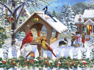 SunsOut: Christmas Birds (1000) vogelpuzzel