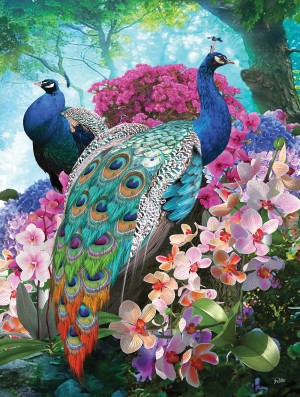 SunsOut: Pretty Peacock (300XL) legpuzzel