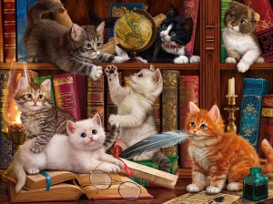 SunsOut: Library Kittens (1000) kattenpuzzel