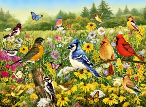 Ravensburger: Birds in the Meadow (500) legpuzzel