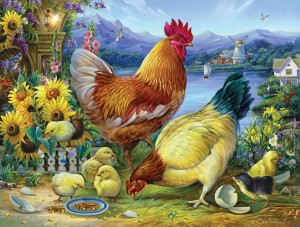 SunsOut: Rooster Walk (500XL) legpuzzel