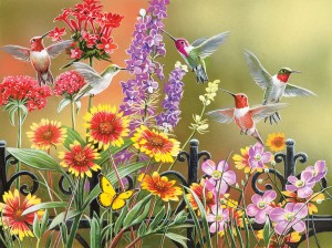 SunsOut: Hummingbirds at the Gate (500XL) legpuzzel