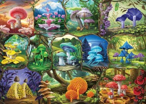 Ravensburger: Beautiful Mushrooms (1000) legpuzzel